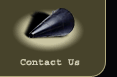 Nous contacter
