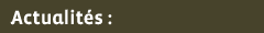 Actualités